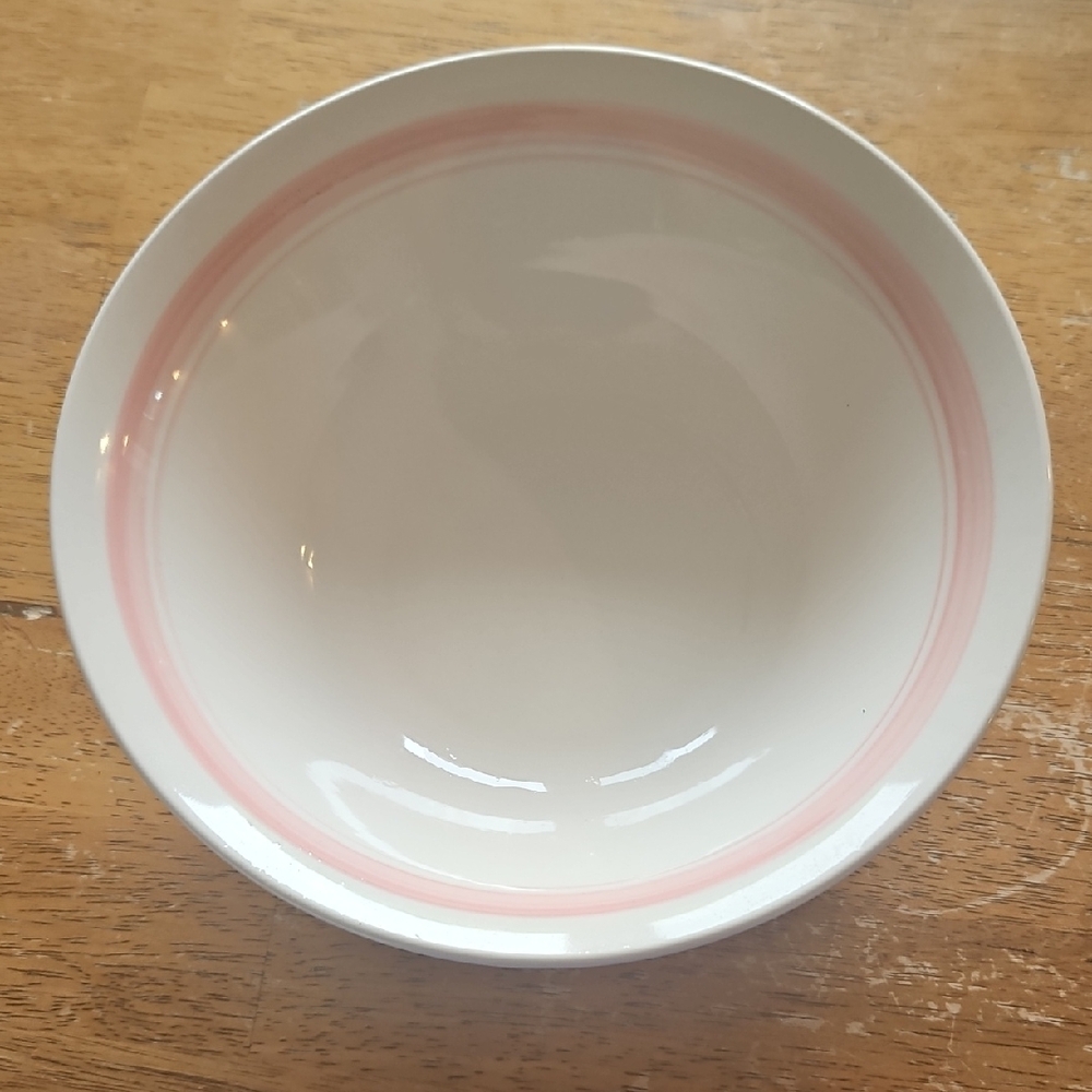 Elegant Pink Rimmed Bowl